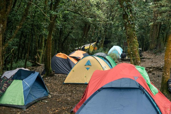 Le bénévolat en camping : une activité enrichissante