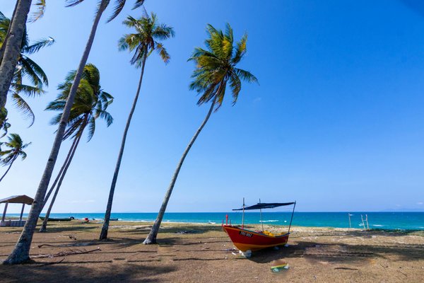Explorer les toutes dernières tendances de tourisme gastronomique pour la jeunesse : Innovations et expériences